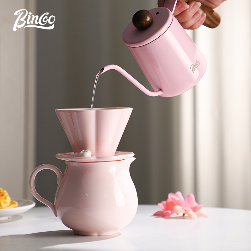Bincoo-Ceramic Hand Brewing Po - Coffee Tea Pot recensione e prezzo