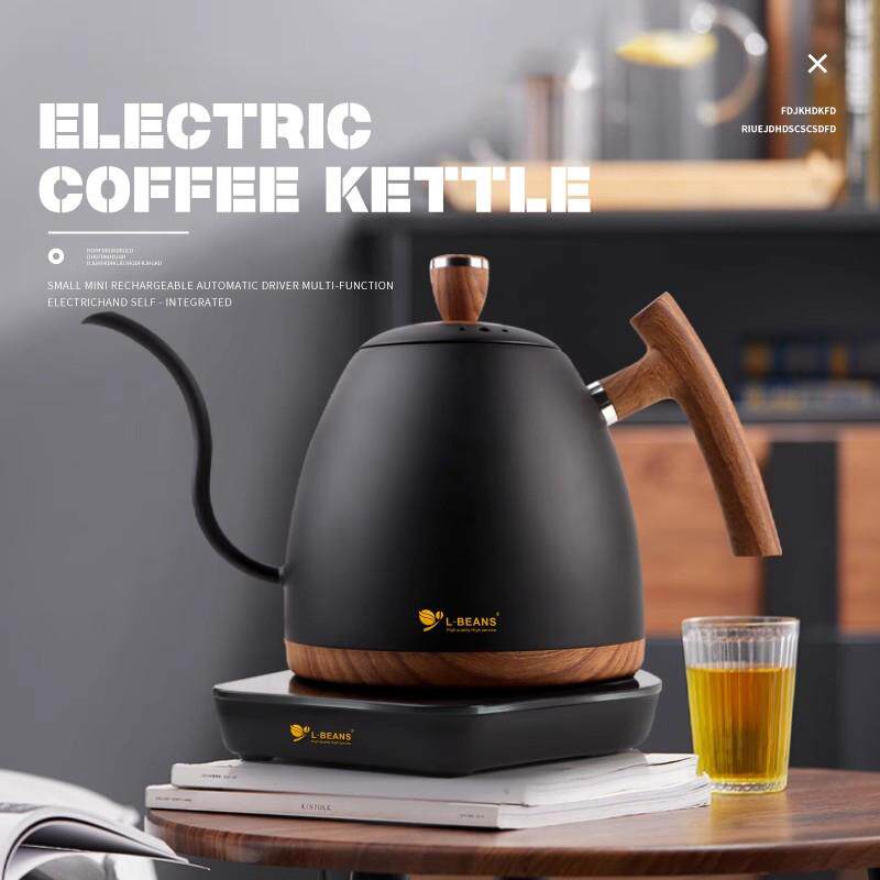 Electric Gooseneck Kettle with - Tea And Coffee Kettle recensione e prezzo