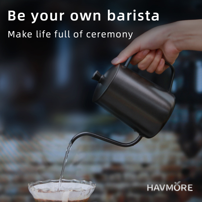 HAVMORE 304 Stainless Steel Te - Tea And Coffee Kettle recensione e prezzo