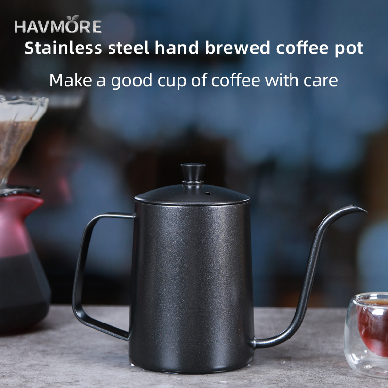 HAVMORE 304 Stainless Steel Te - Tea And Coffee Kettle recensione e prezzo