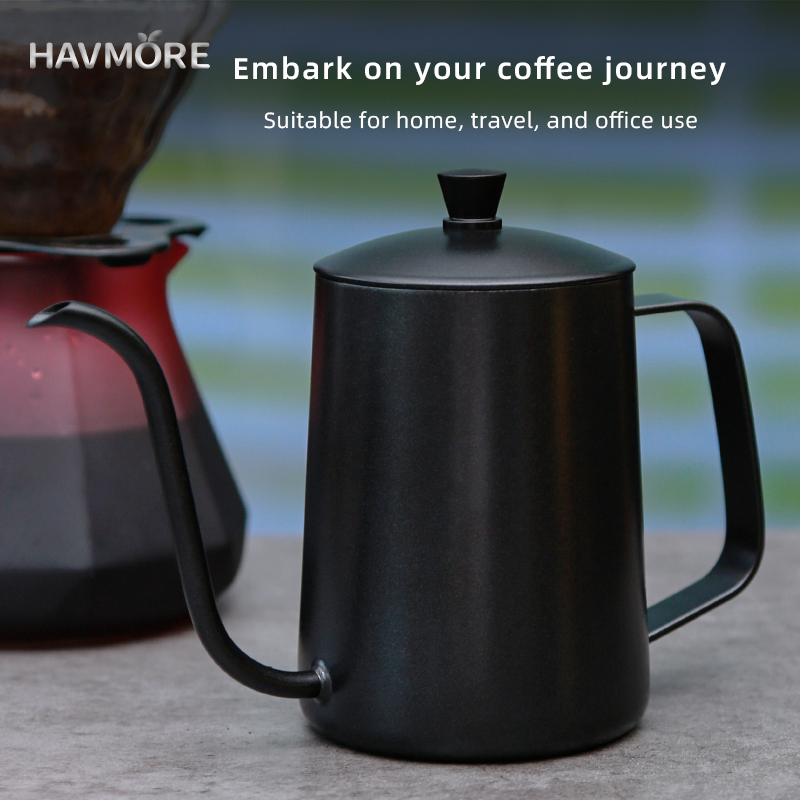 HAVMORE 304 Stainless Steel Te - Tea And Coffee Kettle recensione e prezzo